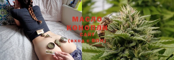 молекула духа Лабытнанги